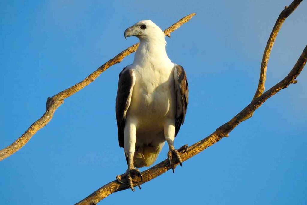 Mary River National Park - Not There Yet…